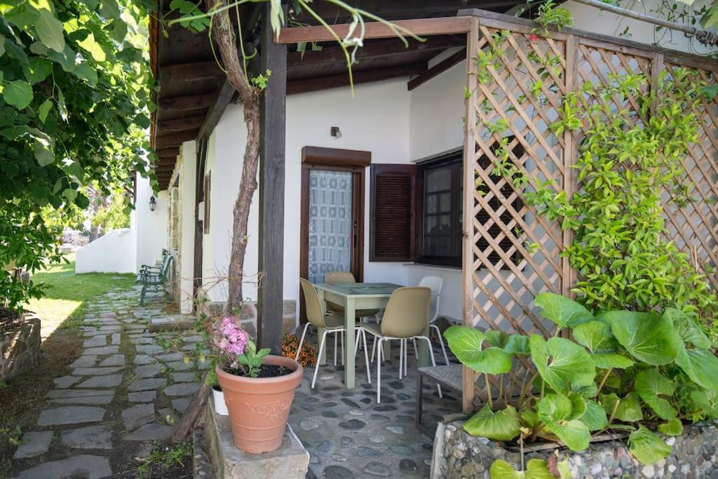 Traditionelles Appartement Athos Shadow Am Meer Paralia Sikias ภายนอก รูปภาพ