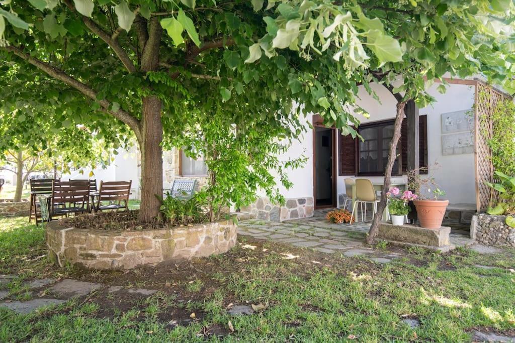 Traditionelles Appartement Athos Shadow Am Meer Paralia Sikias ภายนอก รูปภาพ