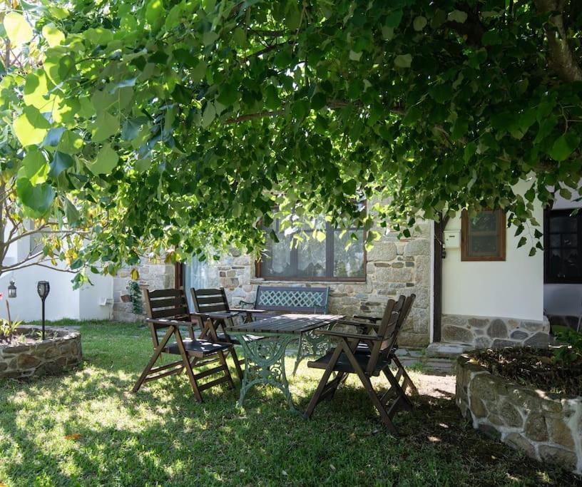 Traditionelles Appartement Athos Shadow Am Meer Paralia Sikias ภายนอก รูปภาพ