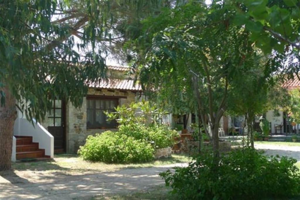 Traditionelles Appartement Athos Shadow Am Meer Paralia Sikias ภายนอก รูปภาพ