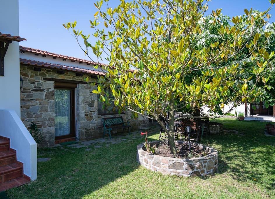 Traditionelles Appartement Athos Shadow Am Meer Paralia Sikias ภายนอก รูปภาพ