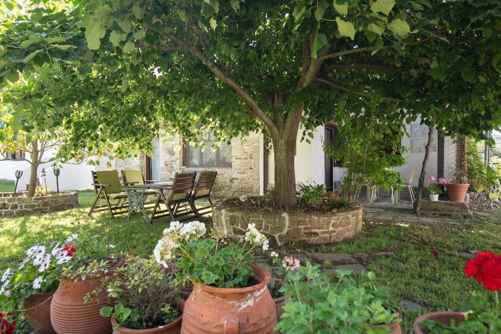 Traditionelles Appartement Athos Shadow Am Meer Paralia Sikias ภายนอก รูปภาพ