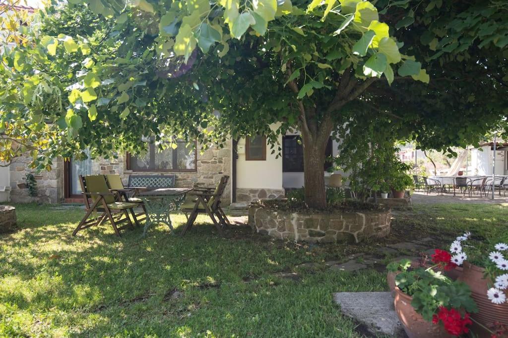 Traditionelles Appartement Athos Shadow Am Meer Paralia Sikias ภายนอก รูปภาพ