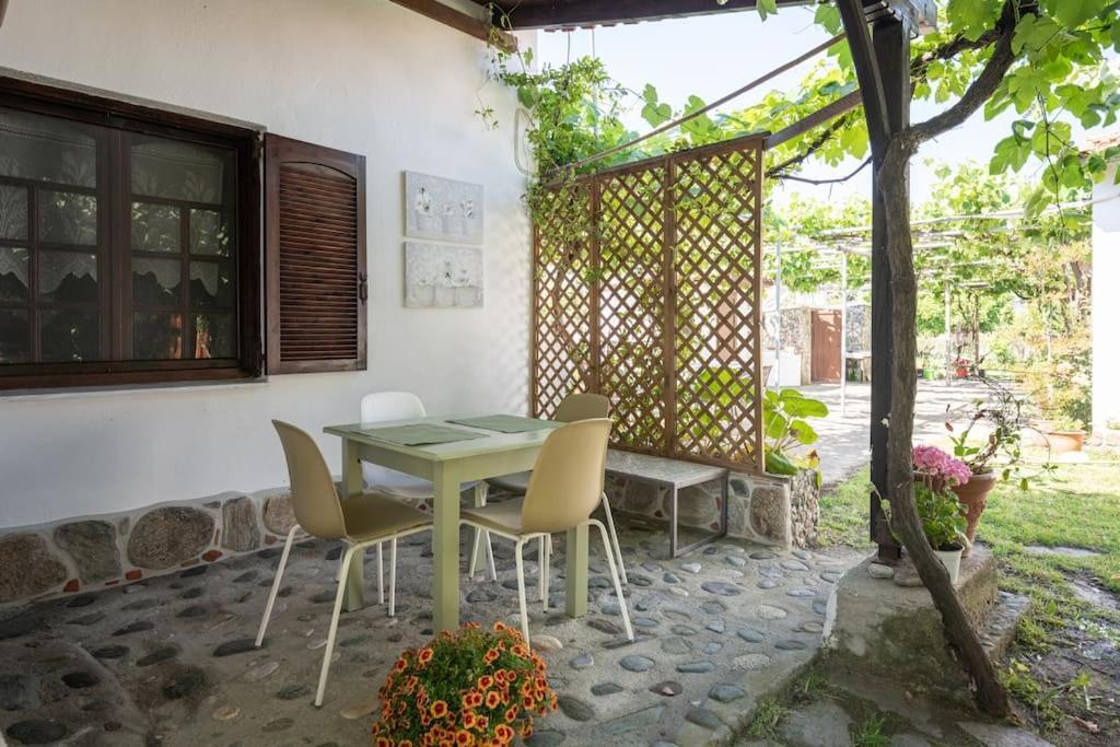 Traditionelles Appartement Athos Shadow Am Meer Paralia Sikias ภายนอก รูปภาพ